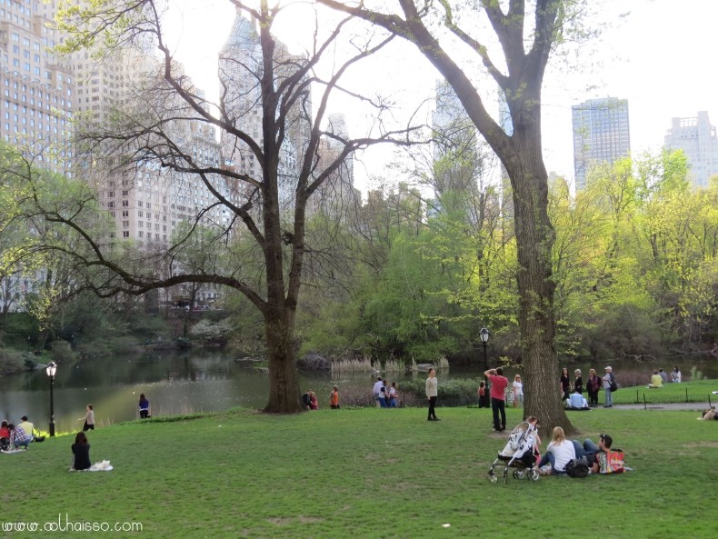 centralpark1