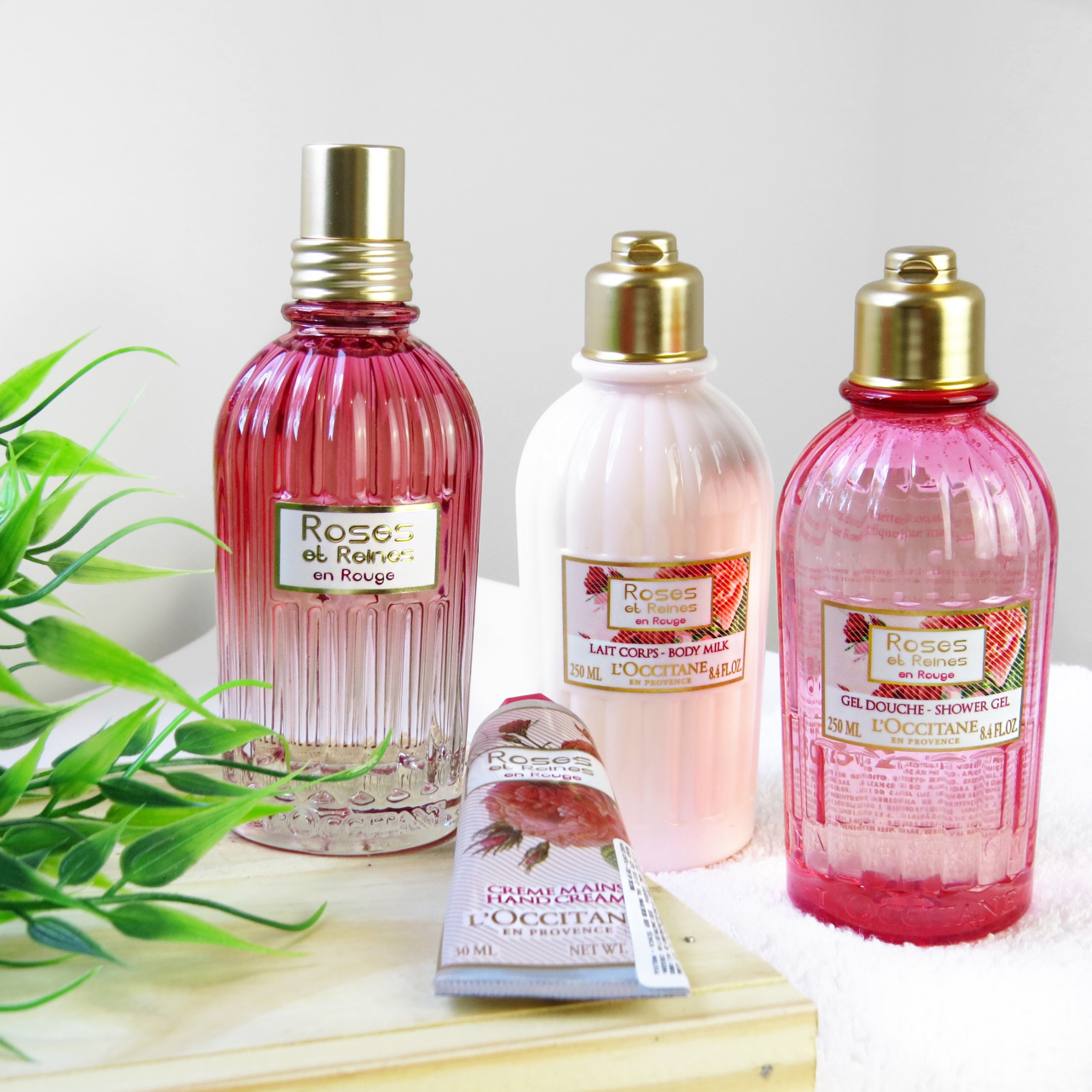 rosas reines en rouge loccitane en provence