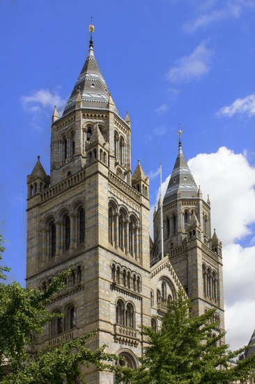 o que fazer em londres - museu de historia natural