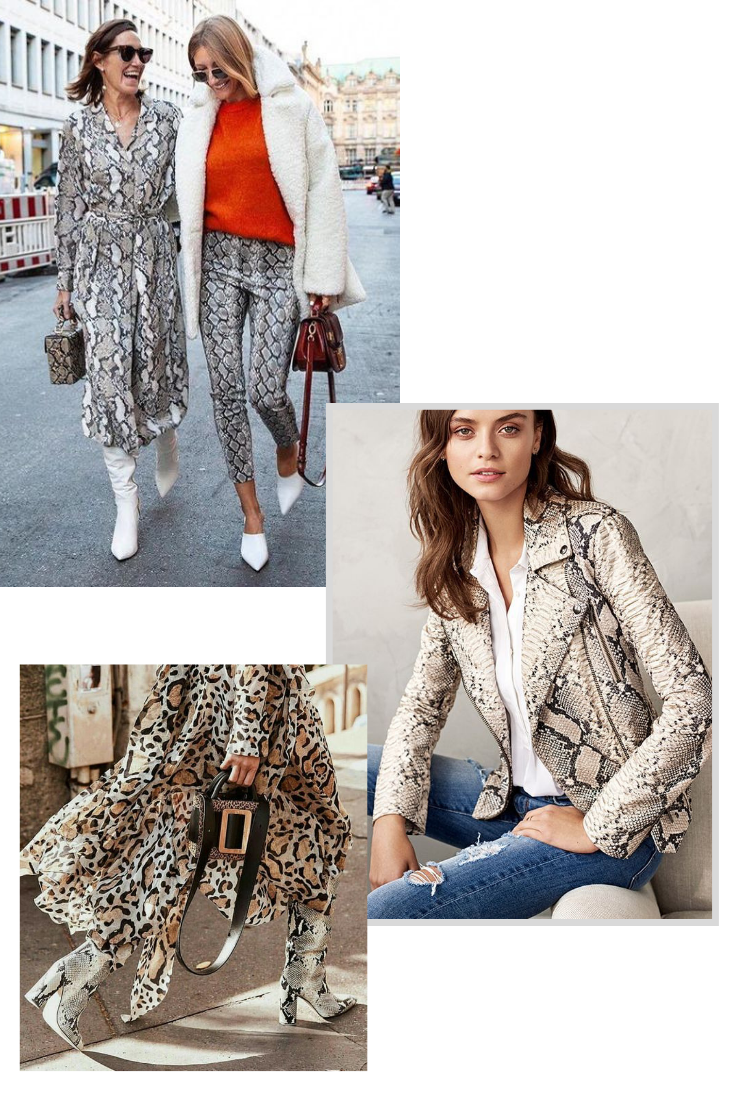 como usar estampa de cobra - look animal print