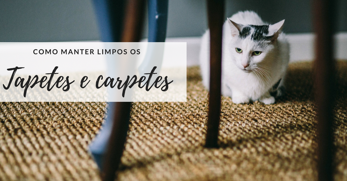 como-manter-carpetes-e-tapetes-limpos